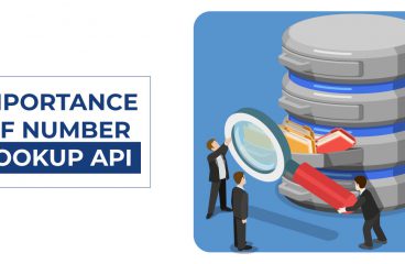 Importance of Number Lookup API